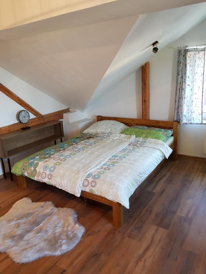 Apartment Cervenka